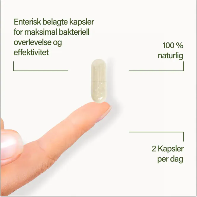 Hovedbilde Nupure Probaflor Max Spektrum N95 Kapsler 30 stk